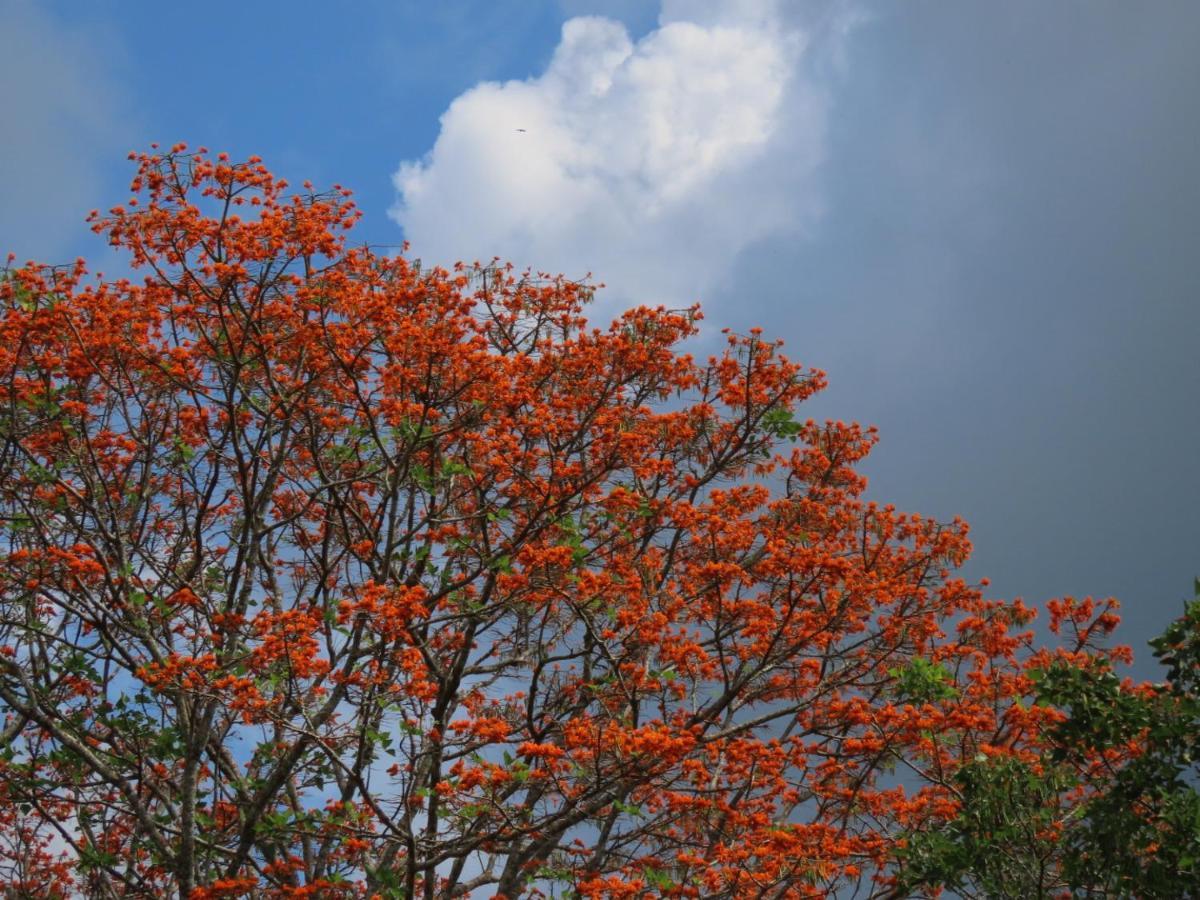 Montana Verde Rivas Ngoại thất bức ảnh