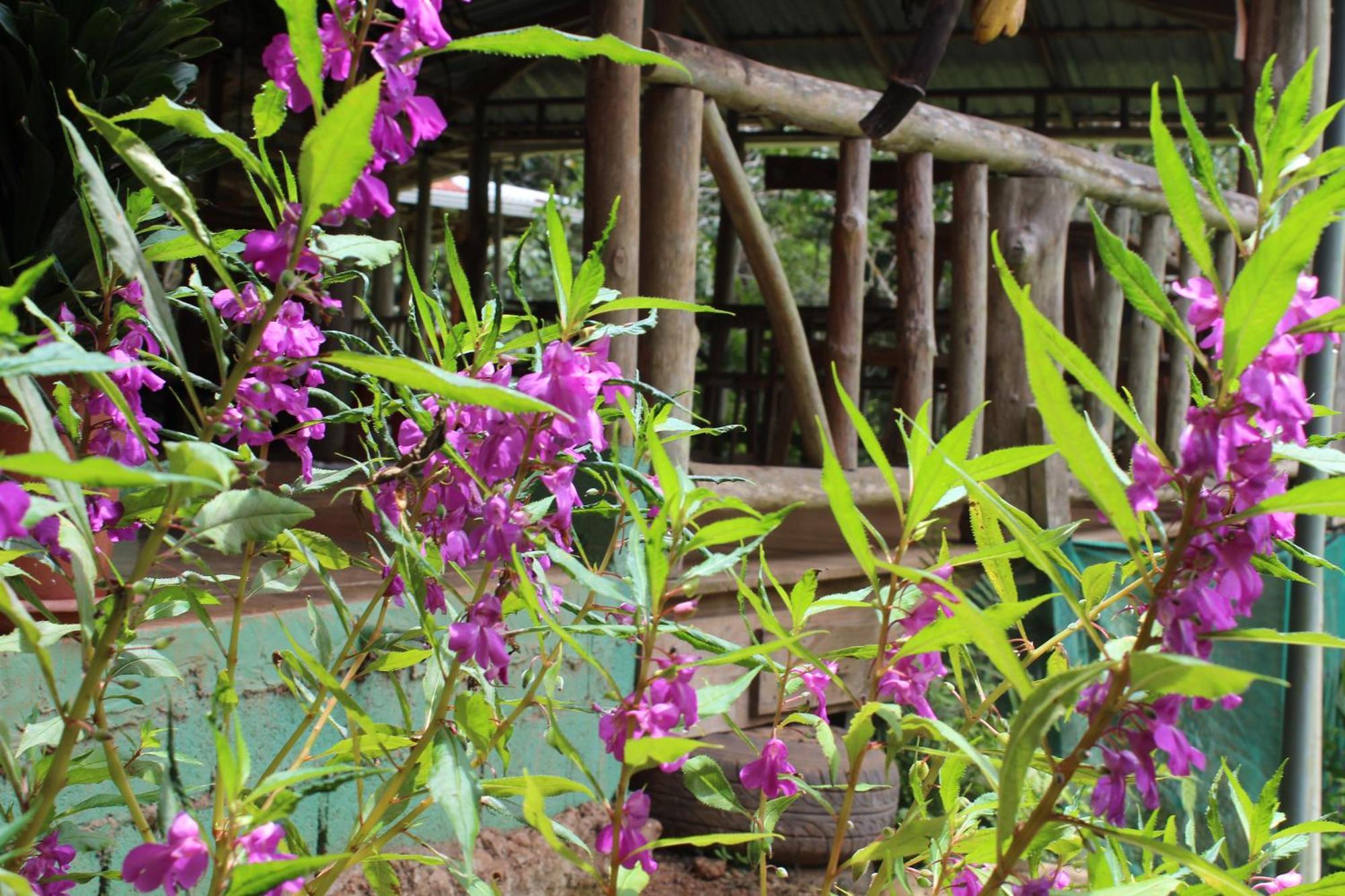 Montana Verde Rivas Ngoại thất bức ảnh
