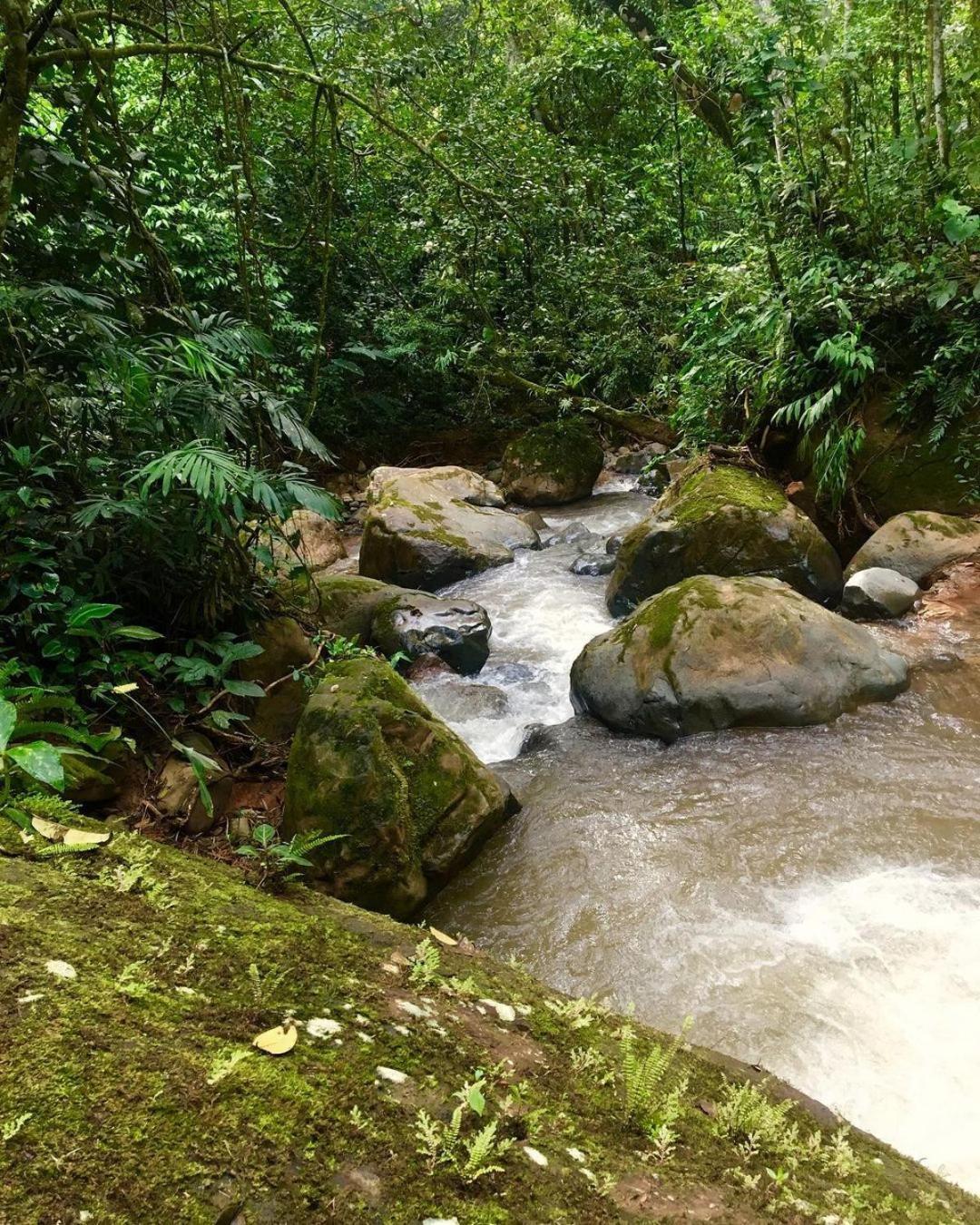 Montana Verde Rivas Ngoại thất bức ảnh
