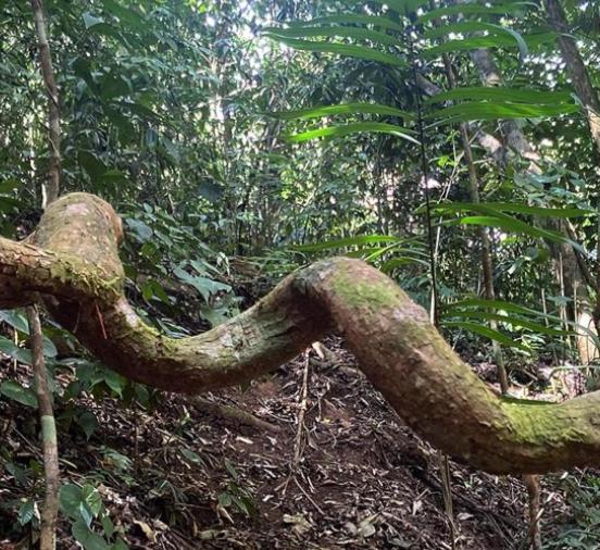 Montana Verde Rivas Ngoại thất bức ảnh